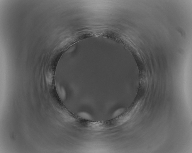 X0000111680139200907311227