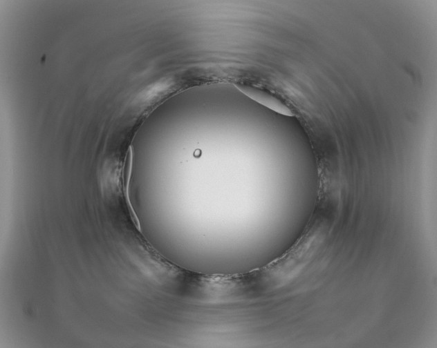 X0000111680141200907311227