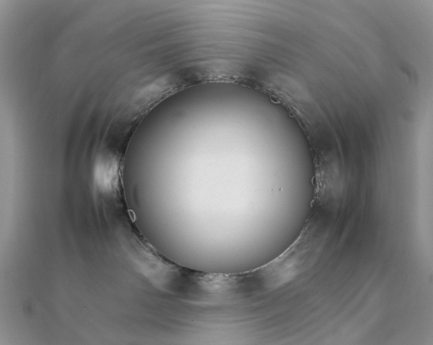 X0000111680142200907311227