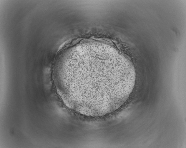 X0000111680144200907311227