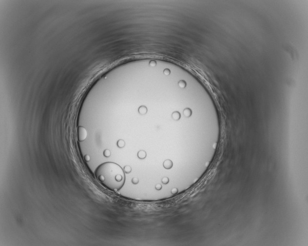 X0000111680145200907311227