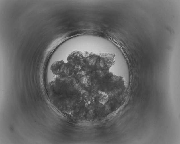 X0000111680149200907311227