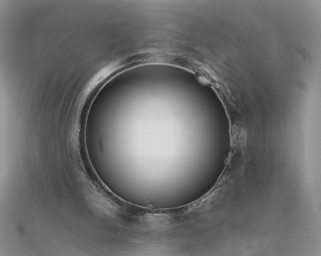 X0000111680150200907311227