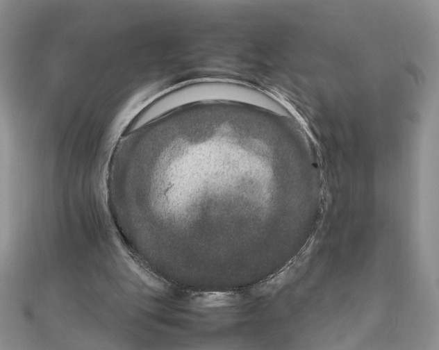 X0000111680151200907311227