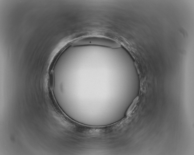 X0000111680152200907311227