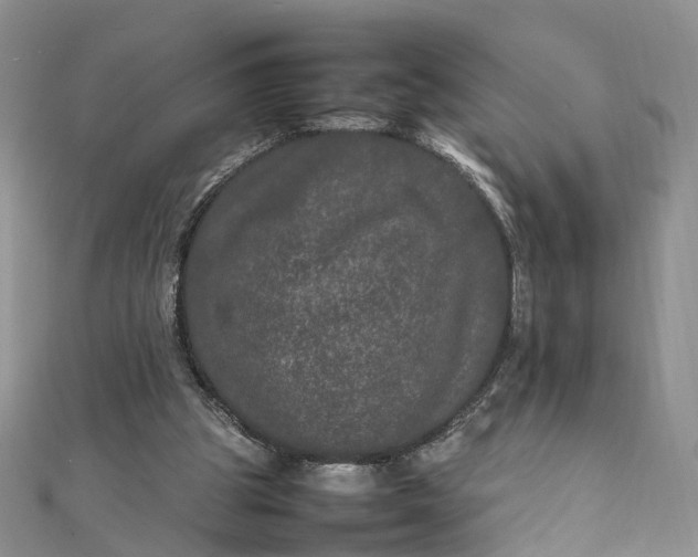 X0000111680153200907311227