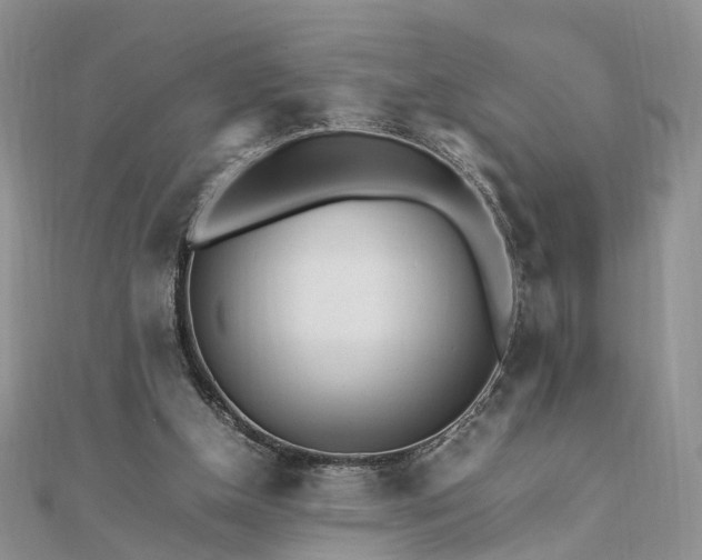 X0000111680154200907311227