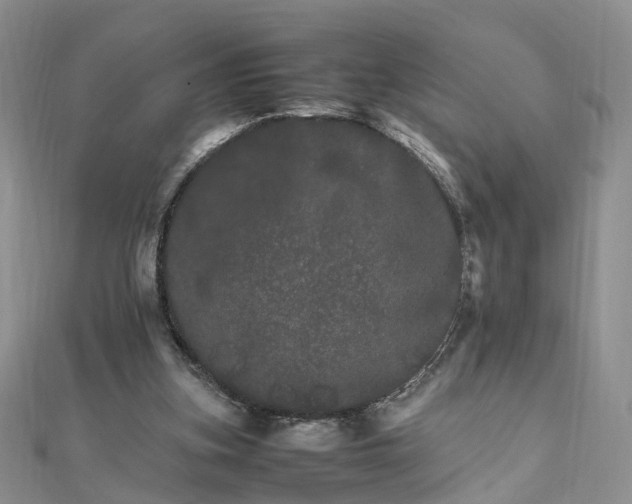 X0000111680155200907311227