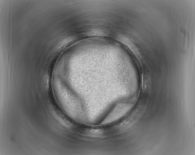 X0000111680157200907311227