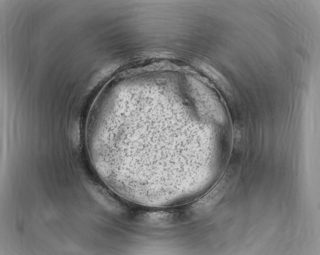 X0000111680158200907311227