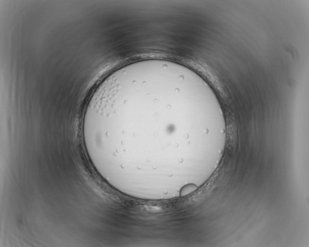 X0000111680159200907311227