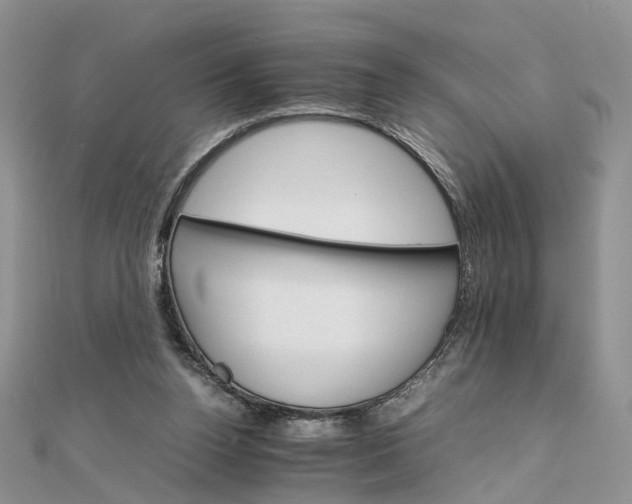 X0000111680160200907311227