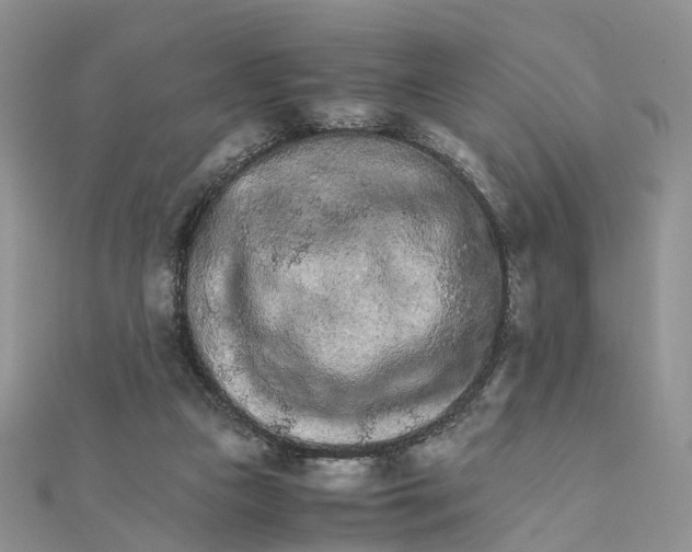 X0000111680161200907311227