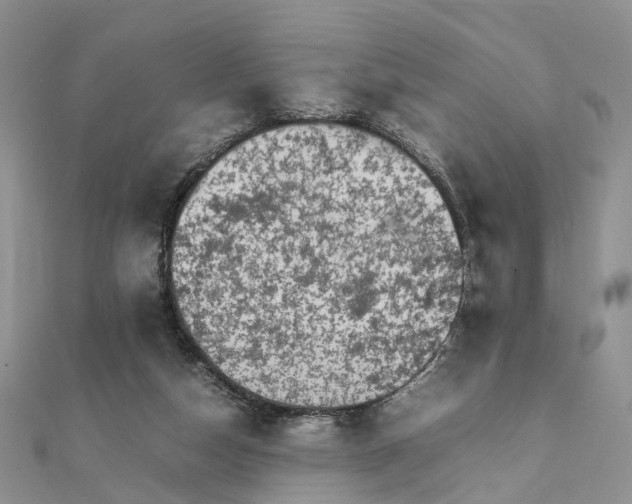 X0000111680162200907311227