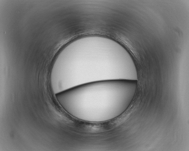 X0000111680164200907311227