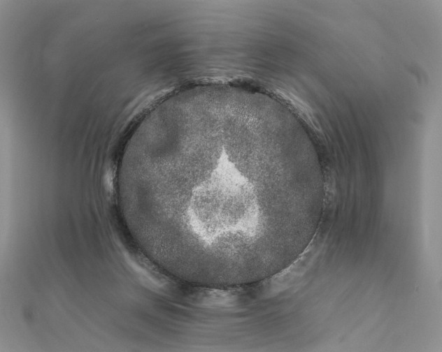 X0000111680166200907311227