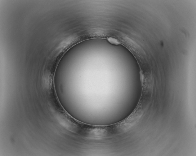 X0000111680168200907311227