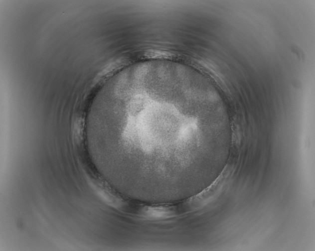 X0000111680171200907311227