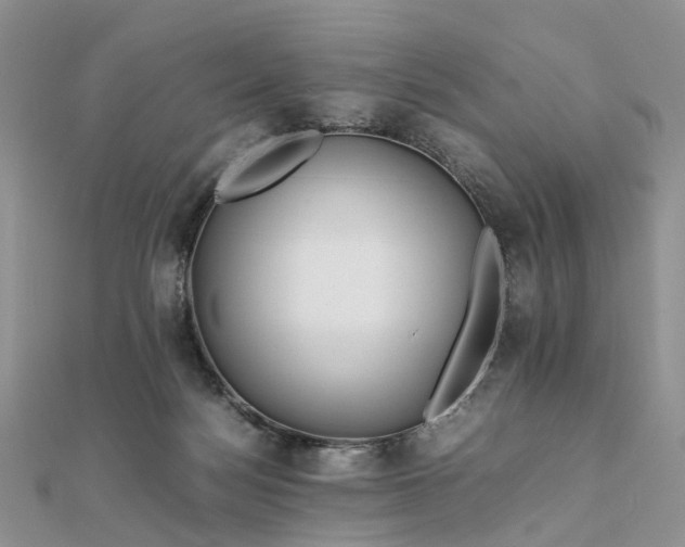 X0000111680172200907311227