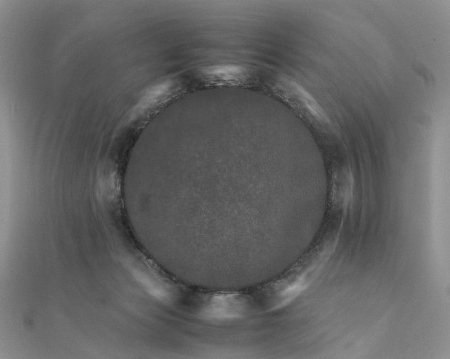 X0000111680173200907311227