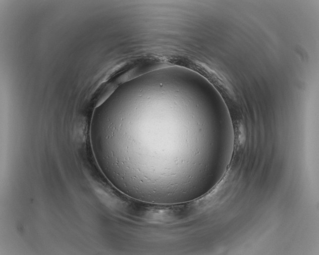 X0000111680174200907311227