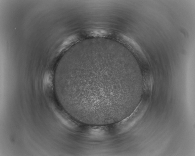 X0000111680175200907311227