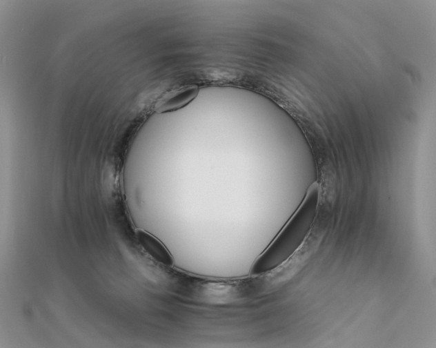 X0000111680176200907311227