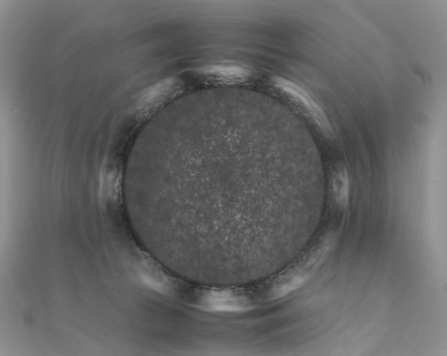 X0000111680177200907311227