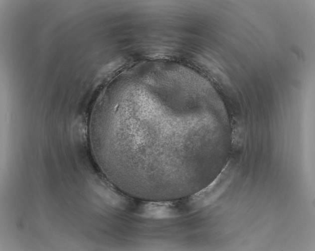 X0000111680179200907311227