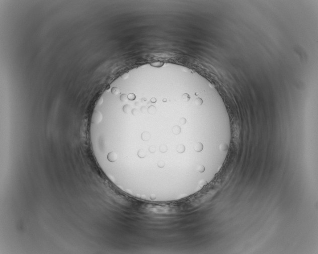 X0000111680181200907311227