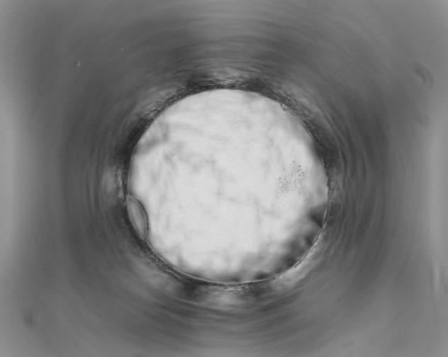 X0000111680182200907311227