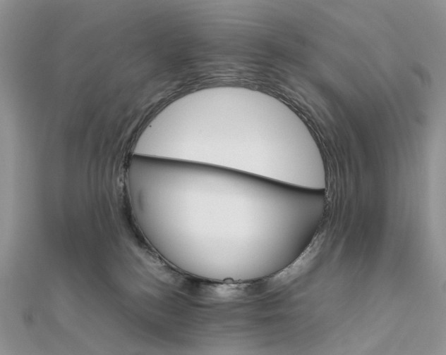 X0000111680184200907311227