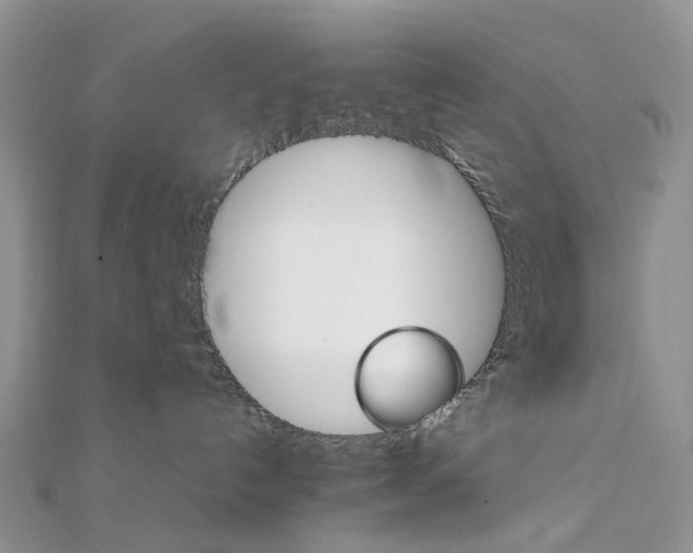 X0000111680192200907311227