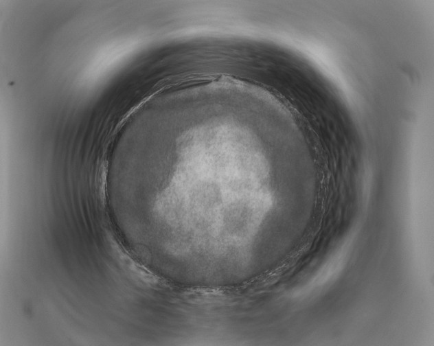 X0000111680194200907311227