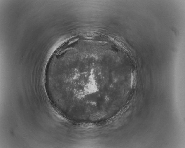 X0000111680195200907311227