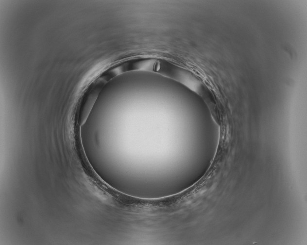 X0000111680197200907311227