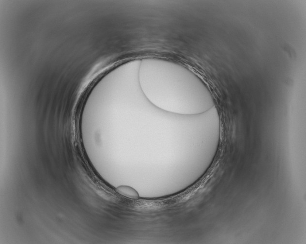 X0000111680198200907311227