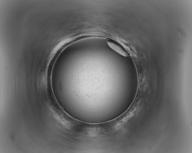 X0000111680200200907311227