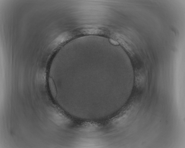 X0000111680207200907311227