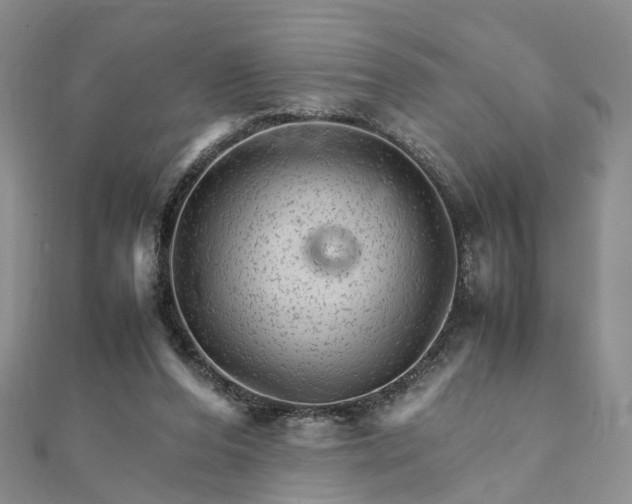 X0000111680208200907311226