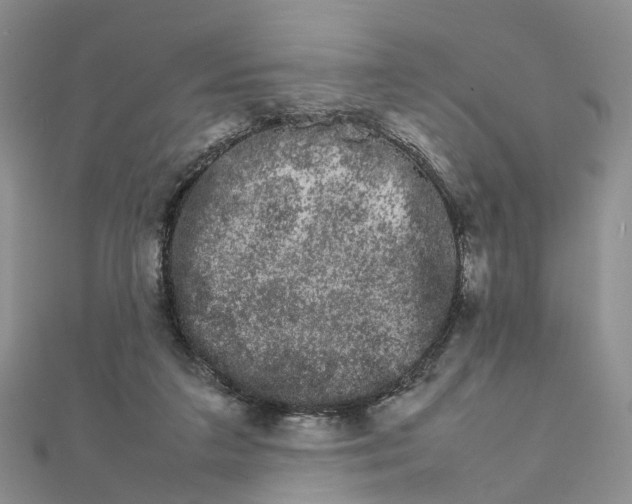 X0000111680211200907311226