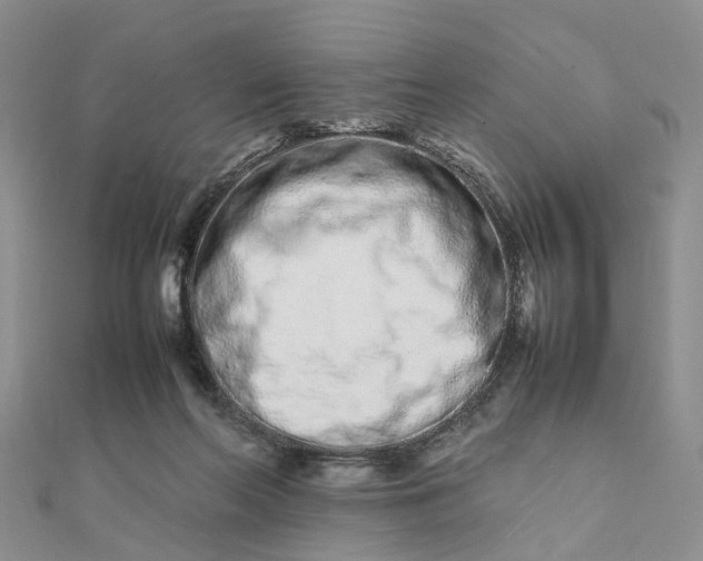 X0000111680214200907311226