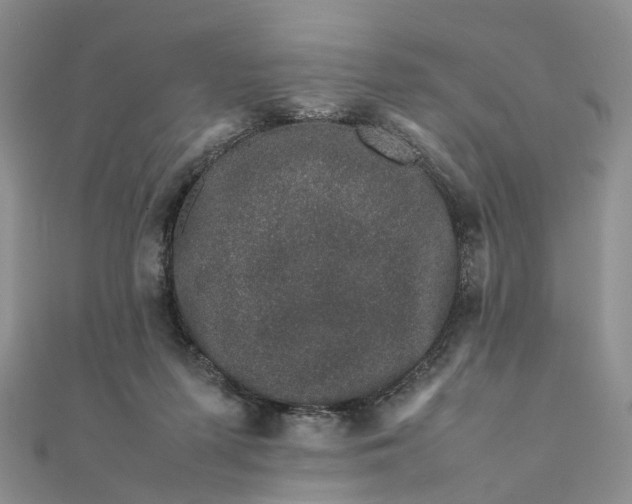 X0000111680215200907311226