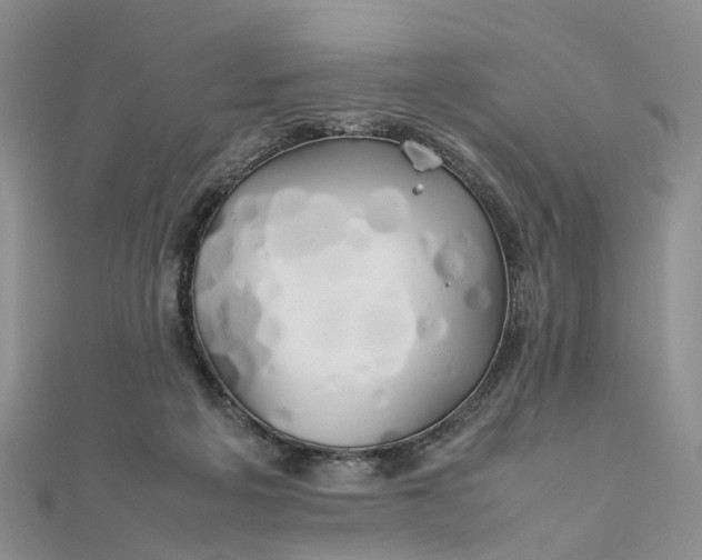 X0000111680217200907311226