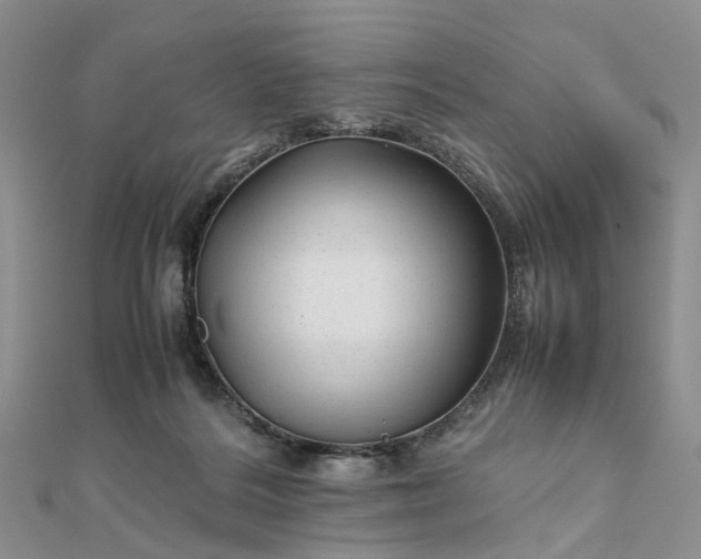 X0000111680220200907311226