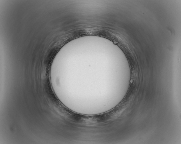 X0000111680221200907311226