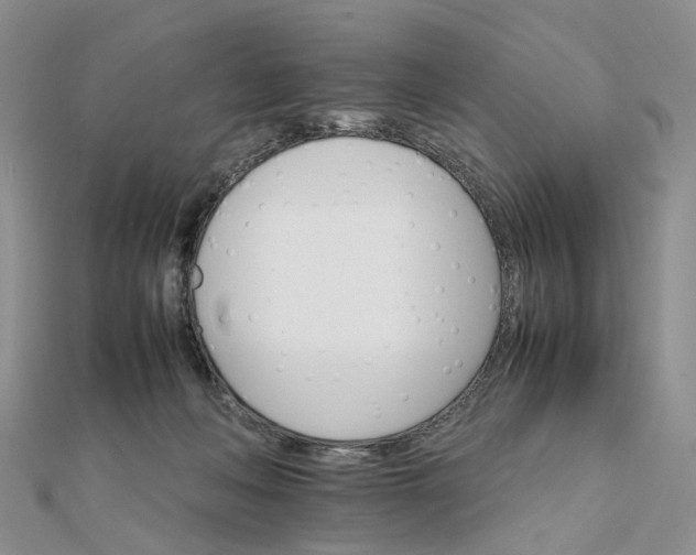 X0000111680222200907311226