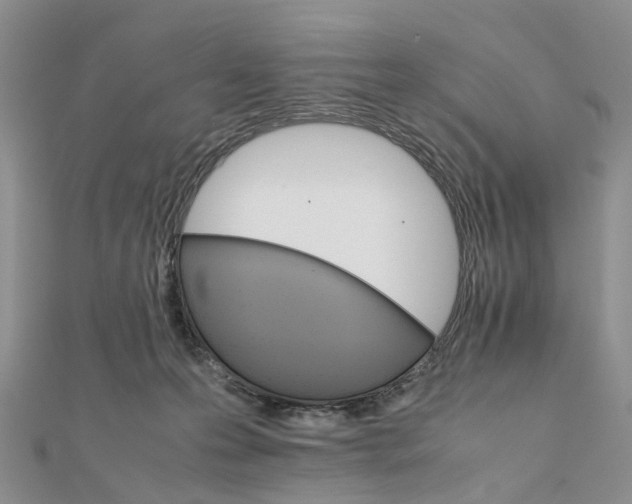 X0000111680223200907311226