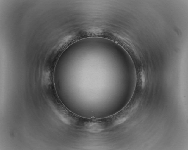 X0000111680224200907311226