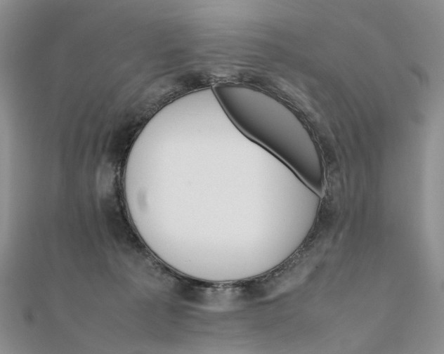 X0000111680225200907311226